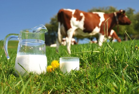 Cu cat a crescut productia de lapte de consum