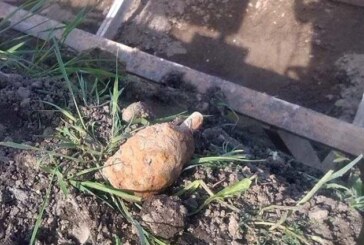 Grenadă descoperită în Baia Mare