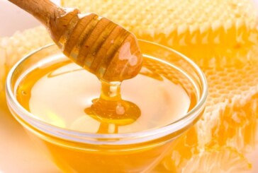 PROIECT – Mierea de albină pentru preșcolari nu vine în 2022