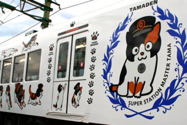 Pisica „Nitama” – noua sefa de gara a unei localitati din Japonia