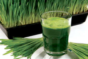 „Sangele verde”, elixirul din iarba de grau care iti reface sanatatea