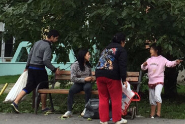 De la cititori: Copii de tigani, la furat de nuci in oras (FOTO)