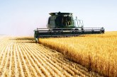Polonia cere UE să limiteze importurile de cereale ucrainene