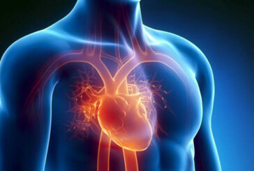 Doua gene sunt legate de riscurile cardiovasculare 