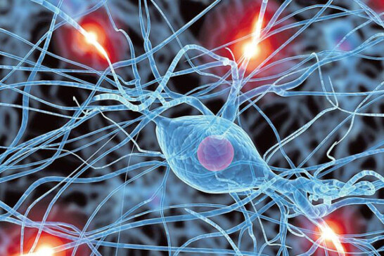 30 de mici neuroni inhiba senzatia de durere