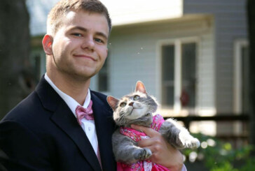 Un american care nu avea partenera pentru balul de absolvire si-a desemnat pentru acest rol… pisica