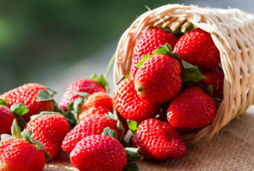 Consumul de fructe rosii poate reduce efectele cancerului