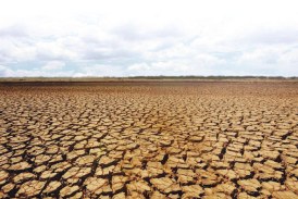 RAPORT MEDIU – Peste 70% din suprafața țării este afectată de secetă. Cum stăm cu stocurile de apă