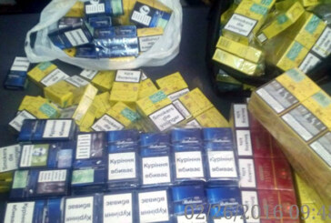Perchezitii domiciliare in Baia Mare. Peste 1.300 de pachete cu tigari confiscate de politisti