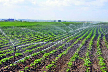 Ministerul Agriculturii: România şi-a propus să ajungă la 3,2 milioane de hectare irigate