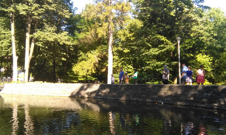 lac parcul regina maria (1)
