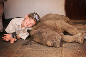 Un baietel de 9 ani a reusit sa stranga peste 7.000 de dolari pentru a salva un pui de rinocer