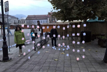 Ziua Internationala Impotriva Violentei asupra Femeii, marcata in Baia Mare (FOTO)