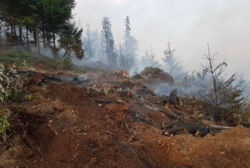 Val de incendii de vegetatie in Maramures
