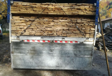 Material lemnos transportat ilegal confiscat si o autoutilitara indisponibilizata de politisti