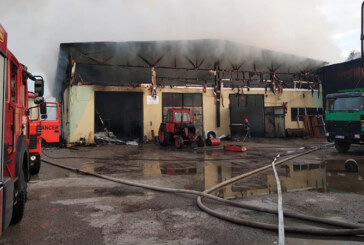 Incendiu la o fabrica de peleti din Targu Lapus