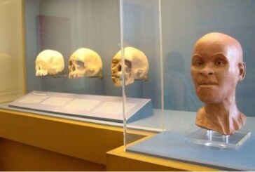 Rio de Janeiro:  Cea mai veche fosila umana braziliana a fost gasita printre resturile Muzeului din Rio