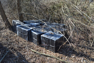 Tigari de contrabanda “uitate” de carausi la frontiera dintre Sighetu Marmatiei si Ucraina