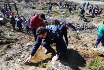 Politistii si elevii au plantat puieti in Baia Sprie (FOTO)