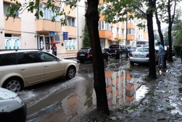 BAIA MARE – Copaci căzuți pe carosabil, garaj inundat