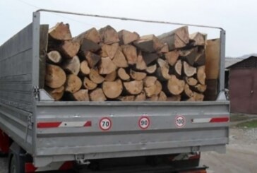 Localnic din Leordina amendat pentru transport ilegal de material lemnos