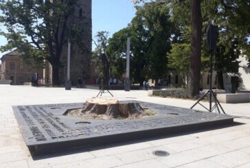 Stejarul din Piata Cetatii a fost taiat. Copiii vor planta, in locul lui, un platan. Cladirea in care functioneaza Scoala Generala ”Petre Dulfu” va deveni un centru cultural