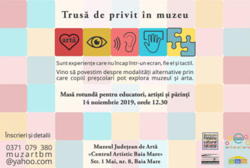 La Muzeul Judetean de Arta Baia Mare se lanseaza „Trusa de privit in muzeu”