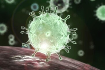 Numarul cazurilor de coronavirus in Italia a crescut la 650; 17 decese
