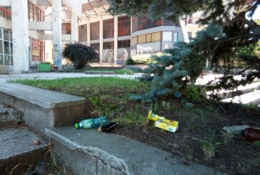 Lângă Casa Tineretului din Baia Mare: Mizerii și un peisaj dezolant (FOTO)