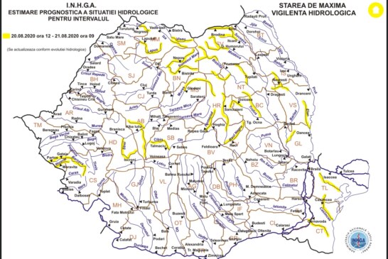 Cod galben pe râurile Vișeu, Iza, Someș și alte bazine hidrografice din țară