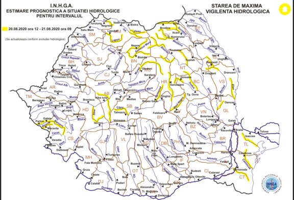 Cod galben pe râurile Vișeu, Iza, Someș și alte bazine hidrografice din țară