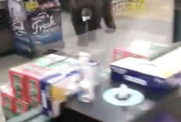 Un urs a fost filmat ”la cumpărături” într-un magazin din California