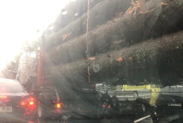 Alo, Poliția Rutieră, cum permiteți așa ceva? Camioane încărcate cu lemne tranzitează orașul în voie, pe Bulevardul Independenței din Baia Mare