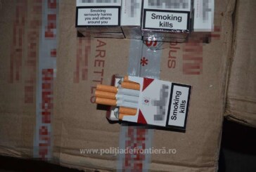 BAIA MARE – Depozit clandestin cu țigări de contrabandă găsit de poliție