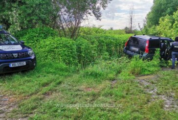 SĂPÂNȚA – Un șofer și-a abandonat mașina de spaimă