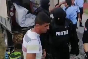 TRĂIM ÎN ROMÂNIA – Polițiștii au dat amenzi celor prinși cu afine culese din pădure