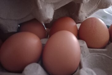 SE FAC CONTROALE – Două tipuri de Salmonella în loturi de carne de pasăre și ouă provenite din Polonia