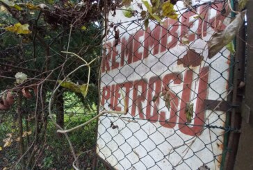ANIVERSARE – Rezervația Naturală Pietrosu Mare împlinește 90 de ani de existență