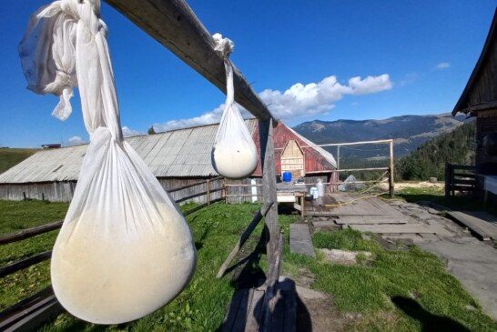 AFACERE DE FAMILIE – Mâncăruri ciobănești tradiționale pe traseul către Cascada Cailor din Borșa