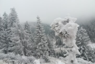 NU NE MAI MIRĂ NIMIC – Strat de zăpadă de 13 cm într-o zonă din Maramureș