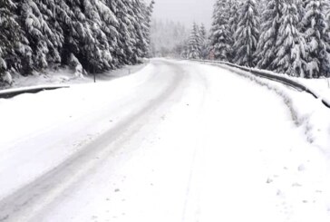 PLEACĂ NINSORILE, VIN PLOILE – Strat de zăpadă tot mai mare în Maramureș
