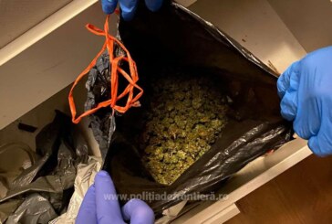 DROGURI ÎN MARAMUREȘ – Maramureșean depistat cu 2 kg de cannabis
