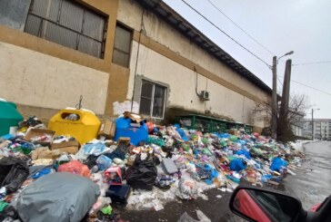 BĂTAIE DE JOC – Baia Mare se îngroapă în gunoaie, aleșii locali caută vinovații (FOTO)