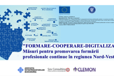 Seminarul de informare online în cadrul proiectului “Formare – Cooperare – Digitalizare: Măsuri pentru promovarea formării profesionale continue în regiunea Nord-Vest”