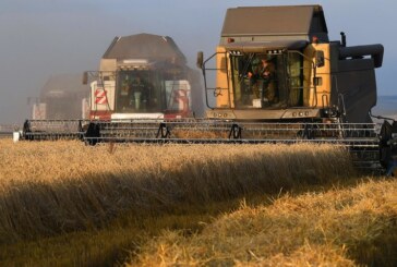 Germania lucrează cu Polonia şi România pentru a majora exporturile de cereale ale Ucrainei