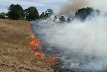 83 DE PIROMANI DAU FOC CAMPURILOR ÎN FIECARE ZI – Incendiile de vegetație, tot mai frecvente în Maramureș
