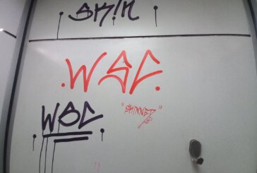BAIA MARE – Toaletele ecologice au fost vandalizate (FOTO)