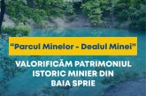 Decizia luată de Consiliul Județean Maramureș în privința zonei Dealul Minei și Lacul Albastru