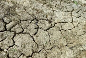 APA DEVINE O PROBLEMĂ – Plan de măsuri pentru efectele caniculei și secetei în Maramureș