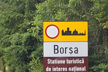 ÎN BORȘA – Fals șofer din Beclean oprit de poliție
